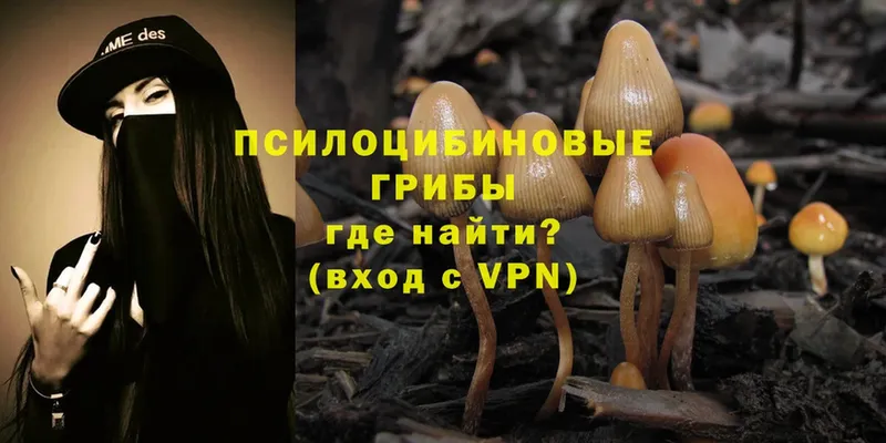 Галлюциногенные грибы Magic Shrooms  Никольское 